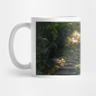 Staircase in a forest Mug